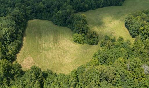 Photo #30 of Mrs White Lane, Mebane, NC 131.7 acres