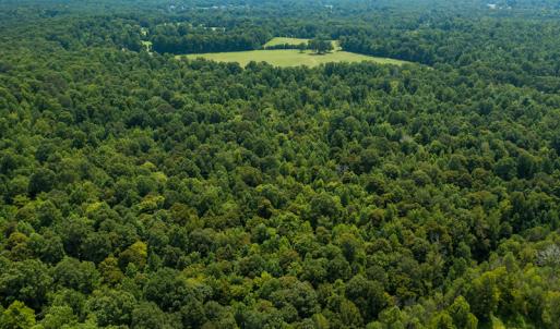 Photo #4 of Mrs White Lane, Mebane, NC 131.7 acres