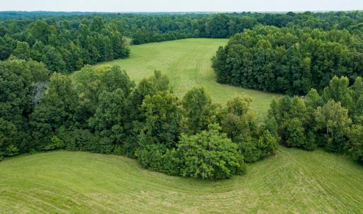 Photo #31 of Mrs White Lane, Mebane, NC 131.7 acres