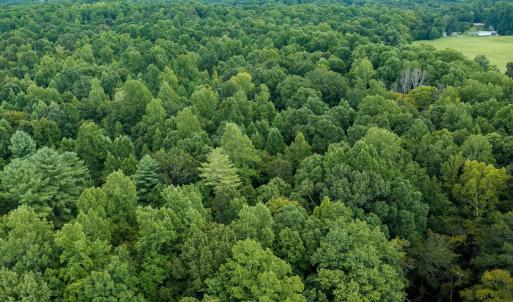 Photo #33 of Mrs White Lane, Mebane, NC 131.7 acres