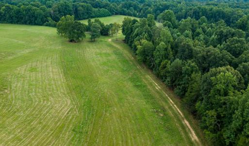 Photo #34 of Mrs White Lane, Mebane, NC 131.7 acres