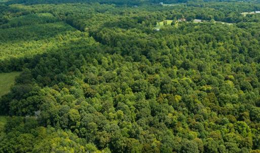 Photo #5 of Mrs White Lane, Mebane, NC 131.7 acres