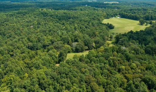 Photo #8 of Mrs White Lane, Mebane, NC 131.7 acres