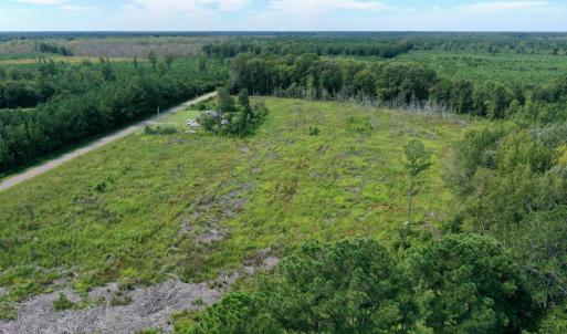 Photo #5 of SOLD property in Off Bolton Road, Rich Square, NC 12.5 acres