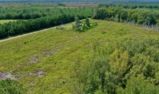 Photo #6 of SOLD property in Off Bolton Road, Rich Square, NC 12.5 acres