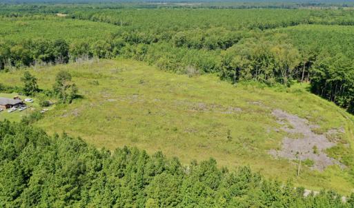 Photo #16 of SOLD property in Off Bolton Road, Rich Square, NC 12.5 acres