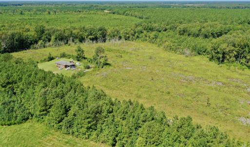 Photo #17 of SOLD property in Off Bolton Road, Rich Square, NC 12.5 acres