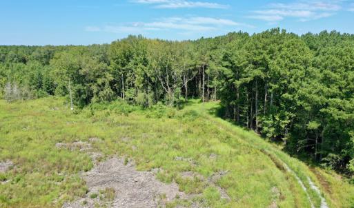 Photo #19 of SOLD property in Off Bolton Road, Rich Square, NC 12.5 acres