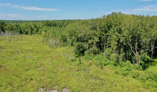 Photo #20 of SOLD property in Off Bolton Road, Rich Square, NC 12.5 acres