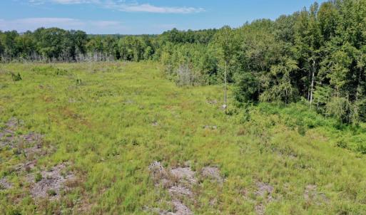 Photo #21 of SOLD property in Off Bolton Road, Rich Square, NC 12.5 acres