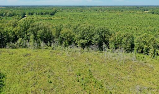 Photo #24 of SOLD property in Off Bolton Road, Rich Square, NC 12.5 acres