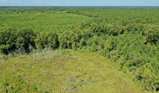 Photo #25 of SOLD property in Off Bolton Road, Rich Square, NC 12.5 acres