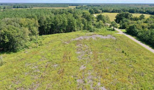 Photo #27 of SOLD property in Off Bolton Road, Rich Square, NC 12.5 acres
