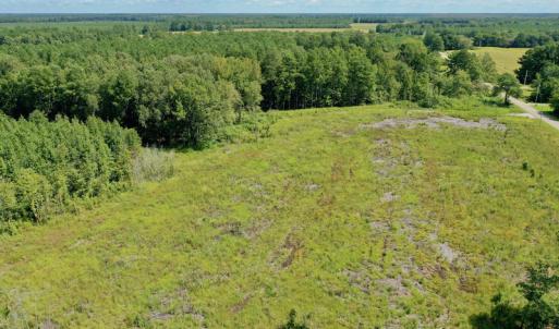 Photo #28 of SOLD property in Off Bolton Road, Rich Square, NC 12.5 acres