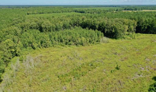 Photo #29 of SOLD property in Off Bolton Road, Rich Square, NC 12.5 acres