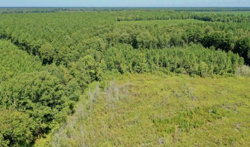 Photo #30 of SOLD property in Off Bolton Road, Rich Square, NC 12.5 acres