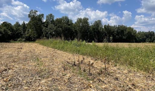 Photo #2 of SOLD property in Off Norton Road, Green Sea, SC 22.4 acres