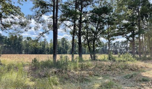 Photo #3 of SOLD property in Off Norton Road, Green Sea, SC 22.4 acres