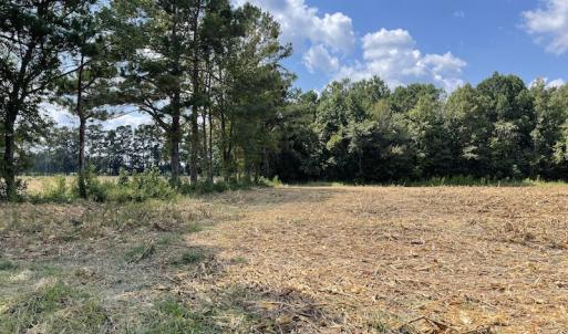 Photo #4 of SOLD property in Off Norton Road, Green Sea, SC 22.4 acres