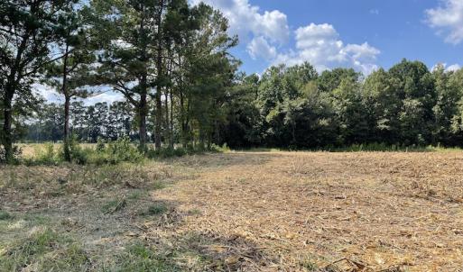 Photo #4 of SOLD property in Off Norton Road, Green Sea, SC 22.4 acres