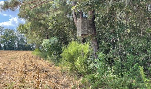 Photo #5 of SOLD property in Off Norton Road, Green Sea, SC 22.4 acres