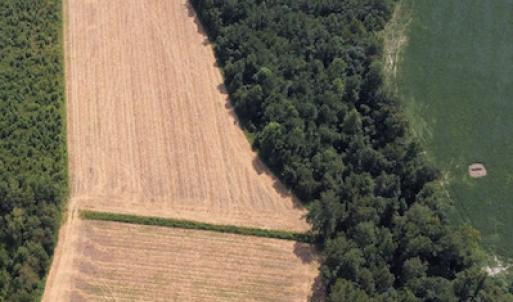 Photo #6 of SOLD property in Off Norton Road, Green Sea, SC 22.4 acres