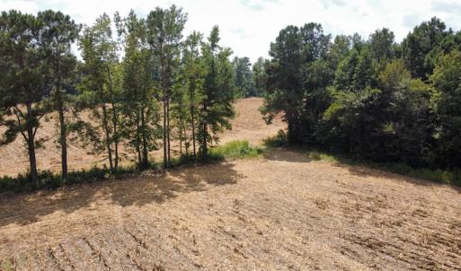 Photo #7 of SOLD property in Off Norton Road, Green Sea, SC 22.4 acres