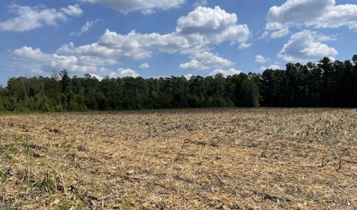Photo #8 of SOLD property in Off Norton Road, Green Sea, SC 22.4 acres