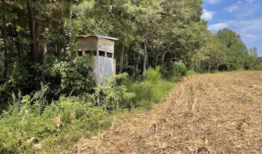 Photo #11 of SOLD property in Off Norton Road, Green Sea, SC 22.4 acres