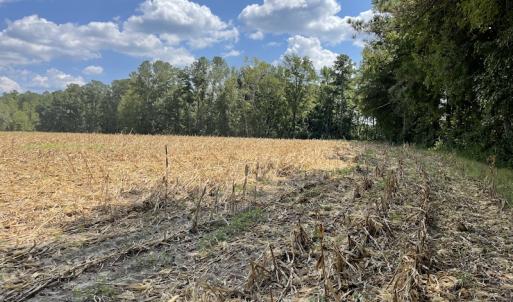 Photo #12 of SOLD property in Off Norton Road, Green Sea, SC 22.4 acres