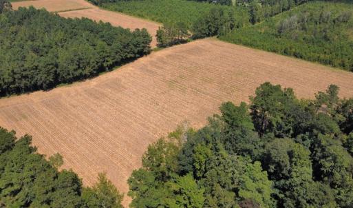 Photo #13 of SOLD property in Off Norton Road, Green Sea, SC 22.4 acres