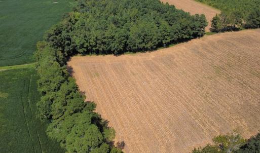Photo #14 of SOLD property in Off Norton Road, Green Sea, SC 22.4 acres