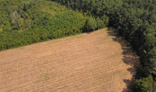 Photo #15 of SOLD property in Off Norton Road, Green Sea, SC 22.4 acres