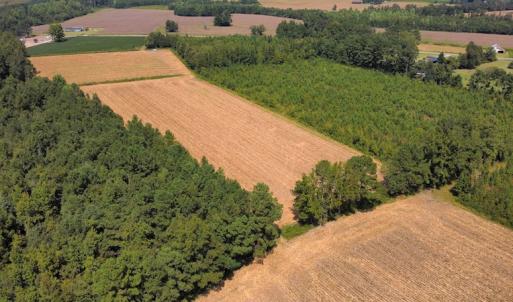 Photo #16 of SOLD property in Off Norton Road, Green Sea, SC 22.4 acres