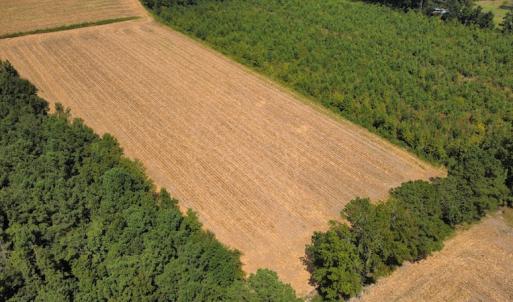 Photo #17 of SOLD property in Off Norton Road, Green Sea, SC 22.4 acres
