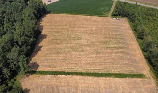 Photo #18 of SOLD property in Off Norton Road, Green Sea, SC 22.4 acres