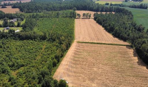 Photo #19 of SOLD property in Off Norton Road, Green Sea, SC 22.4 acres