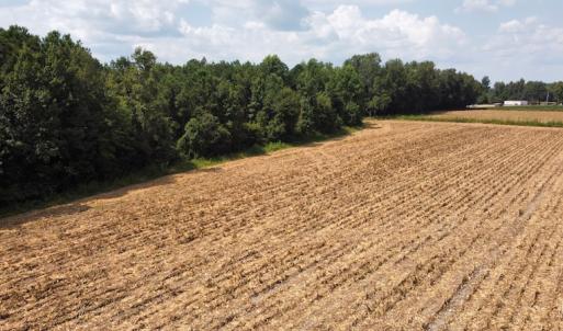 Photo #20 of SOLD property in Off Norton Road, Green Sea, SC 22.4 acres