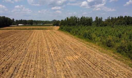 Photo #21 of SOLD property in Off Norton Road, Green Sea, SC 22.4 acres