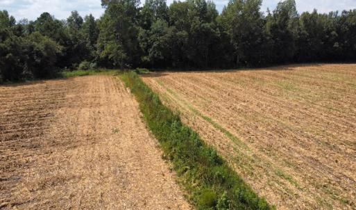 Photo #22 of SOLD property in Off Norton Road, Green Sea, SC 22.4 acres