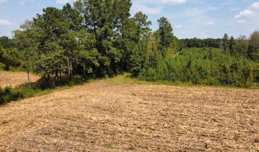 Photo #23 of SOLD property in Off Norton Road, Green Sea, SC 22.4 acres