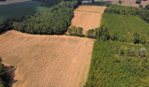 Photo #24 of SOLD property in Off Norton Road, Green Sea, SC 22.4 acres