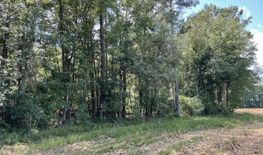 Photo #28 of SOLD property in Off Norton Road, Green Sea, SC 22.4 acres