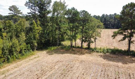 Photo #29 of SOLD property in Off Norton Road, Green Sea, SC 22.4 acres