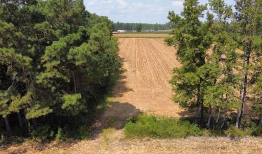Photo #30 of SOLD property in Off Norton Road, Green Sea, SC 22.4 acres