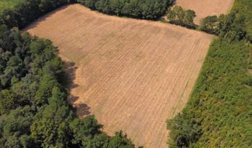 Photo #31 of SOLD property in Off Norton Road, Green Sea, SC 22.4 acres