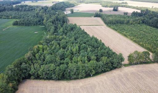 Photo #32 of SOLD property in Off Norton Road, Green Sea, SC 22.4 acres