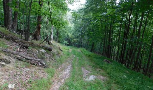 Photo #2 of Off Old Briddle Creek Road, Independence, VA 28.6 acres
