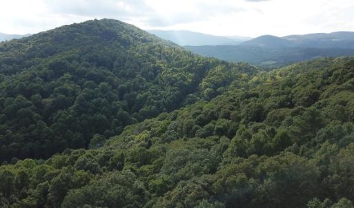Photo #12 of Off Old Briddle Creek Road, Independence, VA 28.6 acres