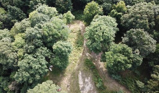 Photo #14 of Off Old Briddle Creek Road, Independence, VA 28.6 acres